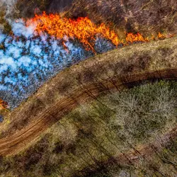 March 2020 (Shaker Village of Plesant Hill)